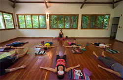 Yoga in Paradise